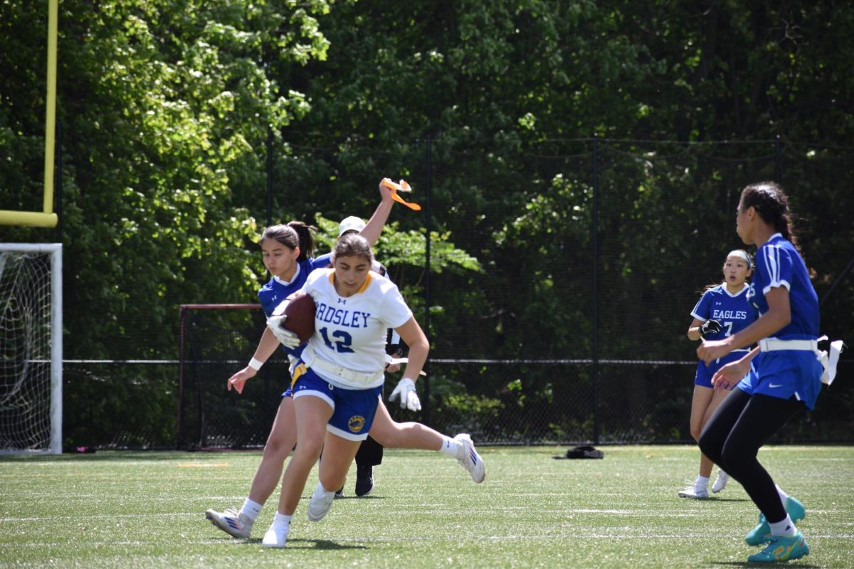 The Dobbs Ferry Flag Football Inaugural Season